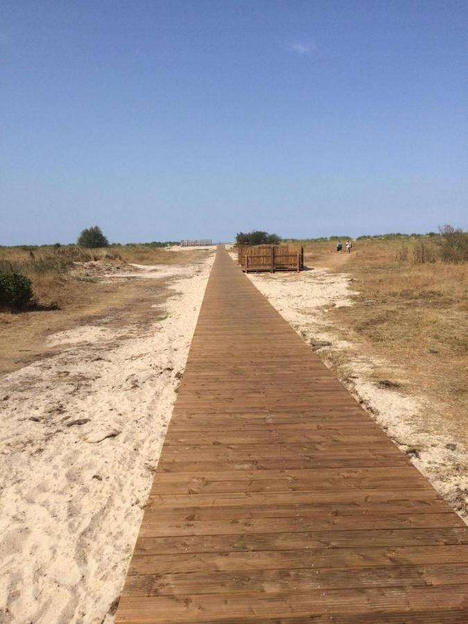 Strandhafer 西里格 外观 照片